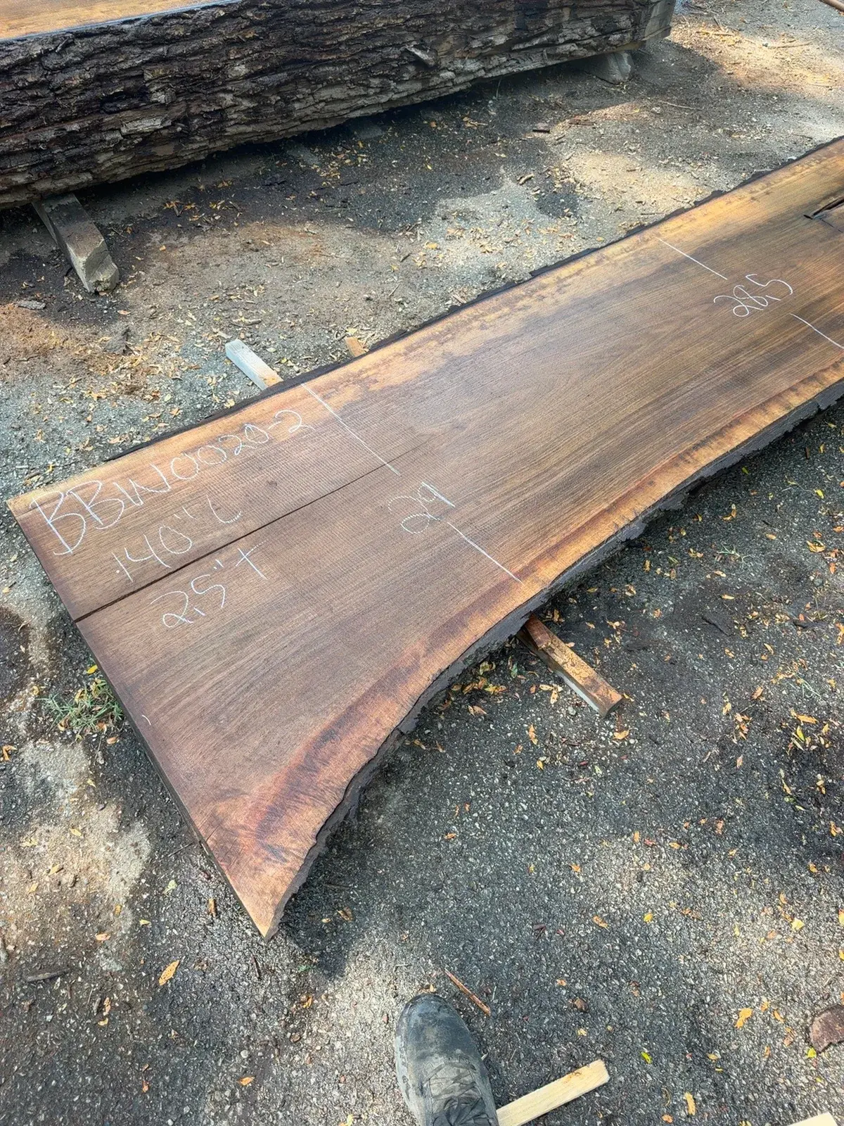 Designing the modern walnut conference table timber field note