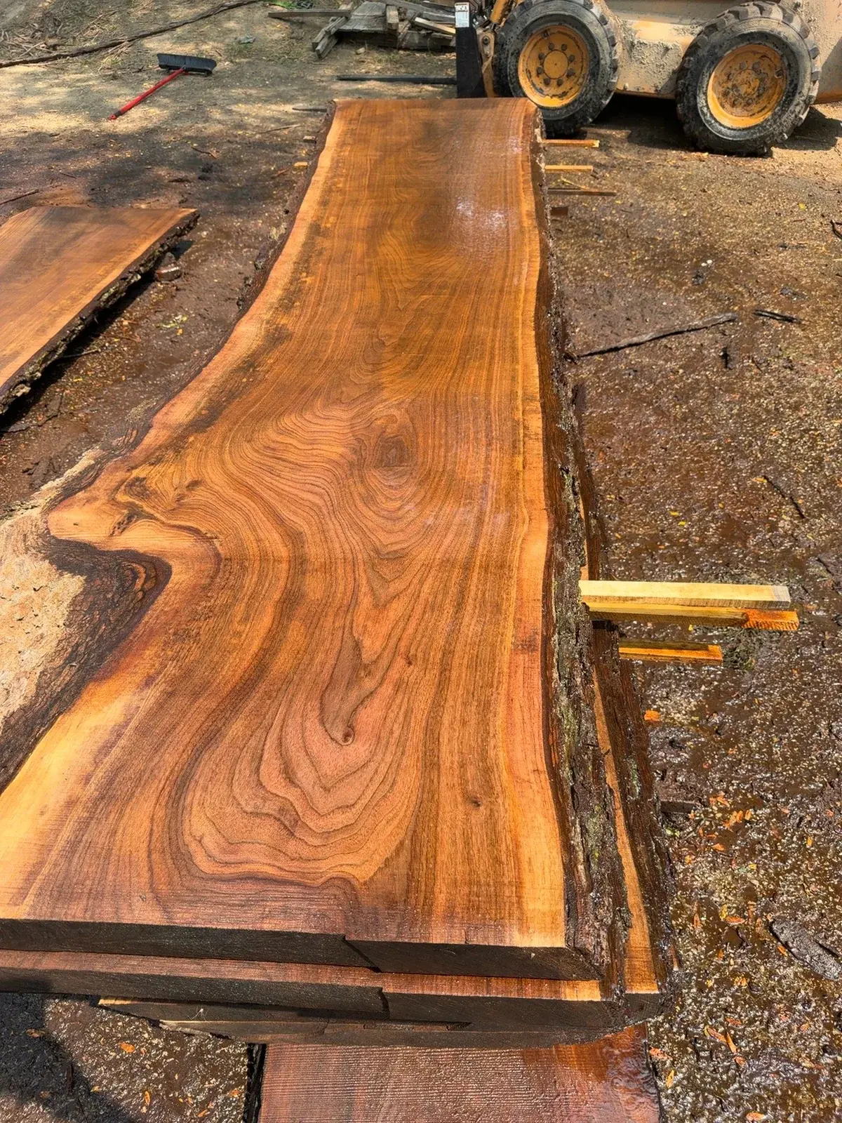 Black Walnut timber slab named Sequential Black Walnut Slab Set 01