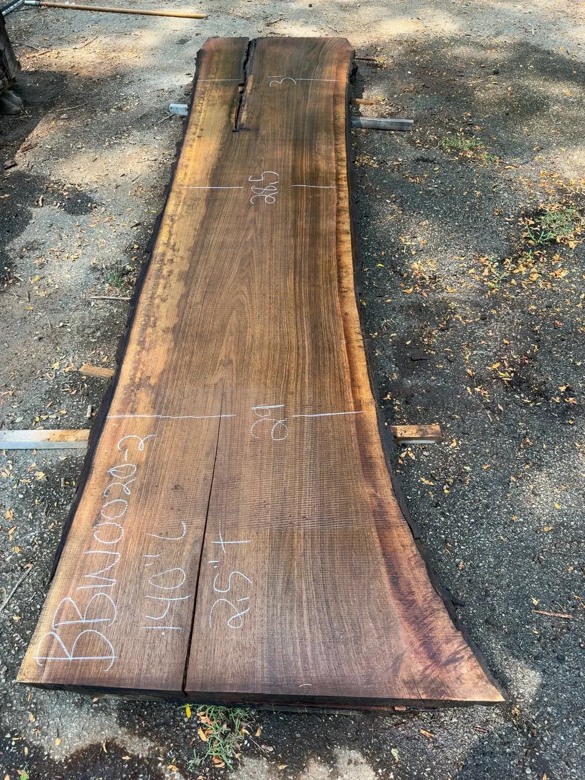 Black Walnut timber slab named Wide Yard Walnut Slab Y01