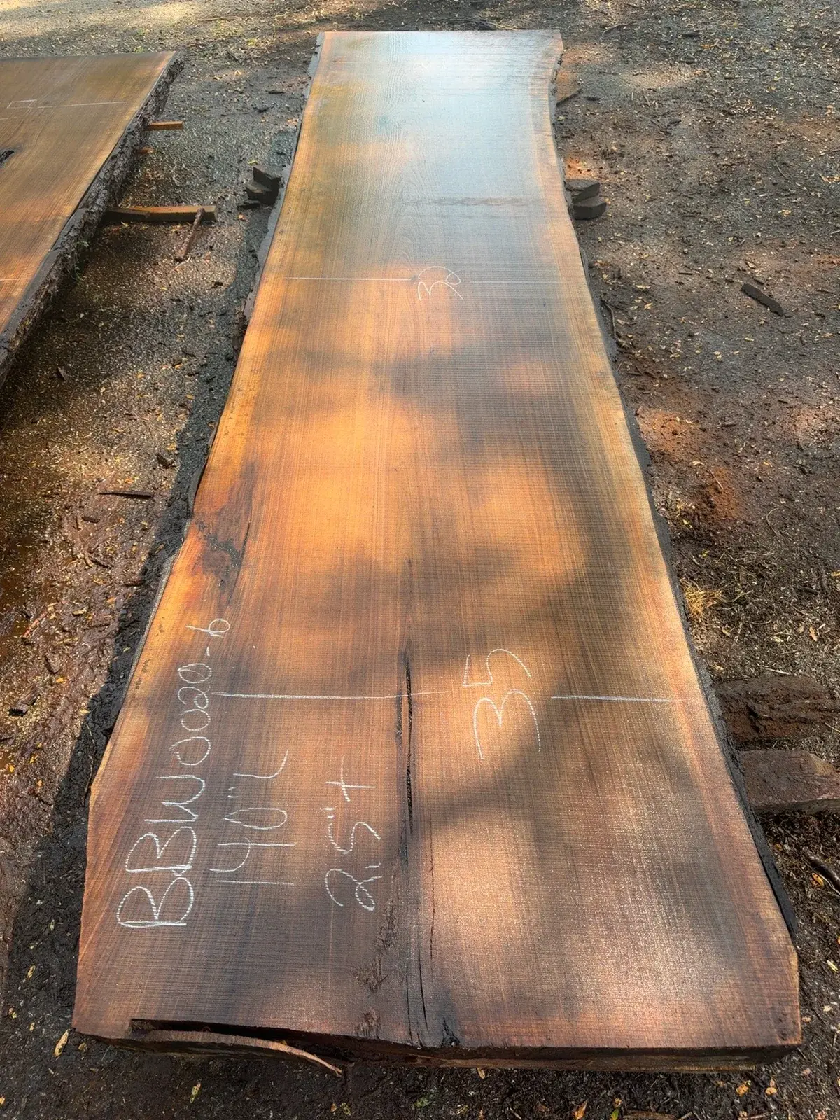 Black Walnut timber slab named Broad Yard Walnut Slab Y02