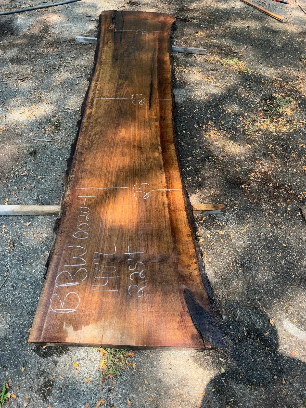 Black Walnut timber slab named Tapered Yard Walnut Slab Y03