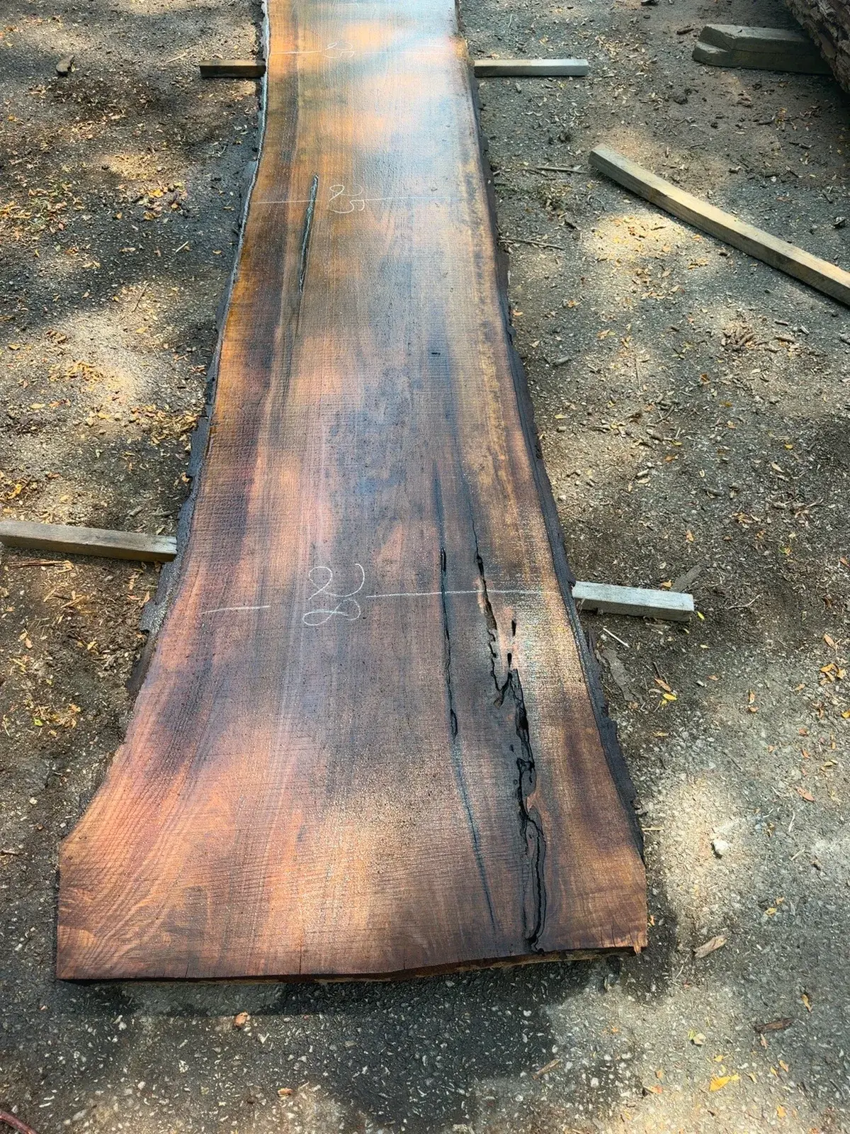 Black Walnut timber slab named Natural-Split Walnut Slab Y04