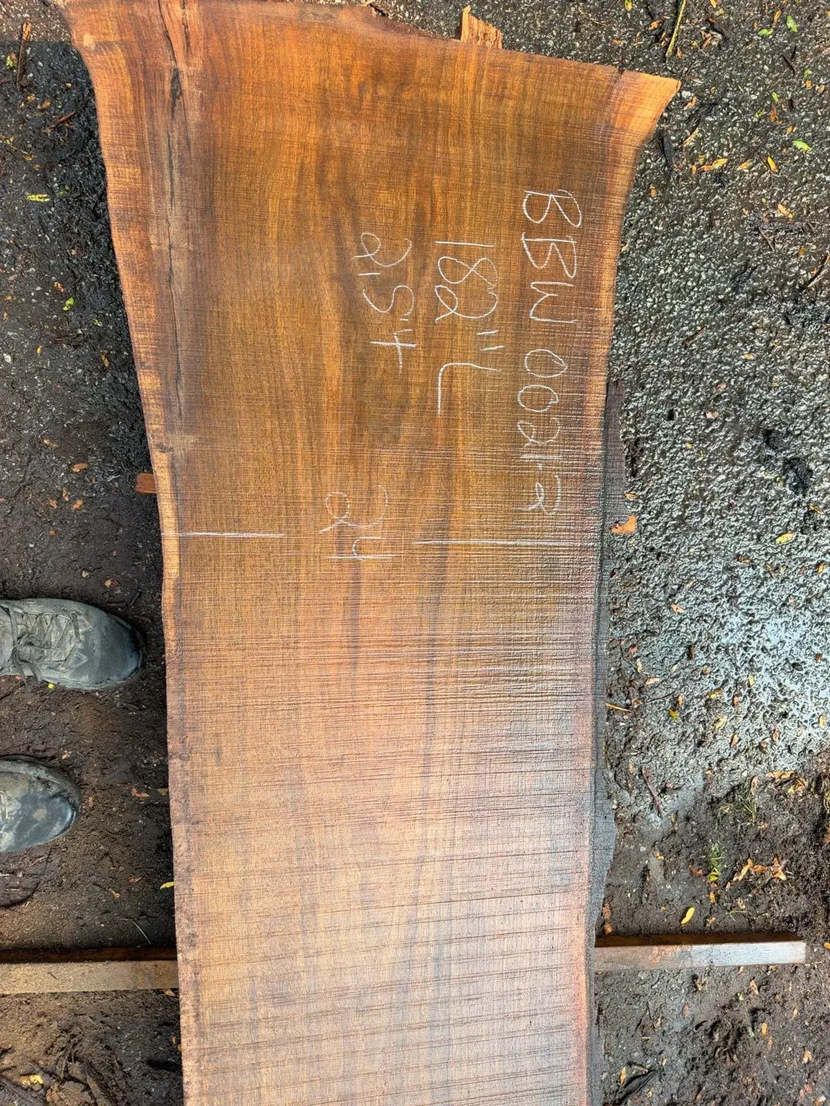 Black Walnut timber slab named Ribbon-Grain Walnut Slab Y05