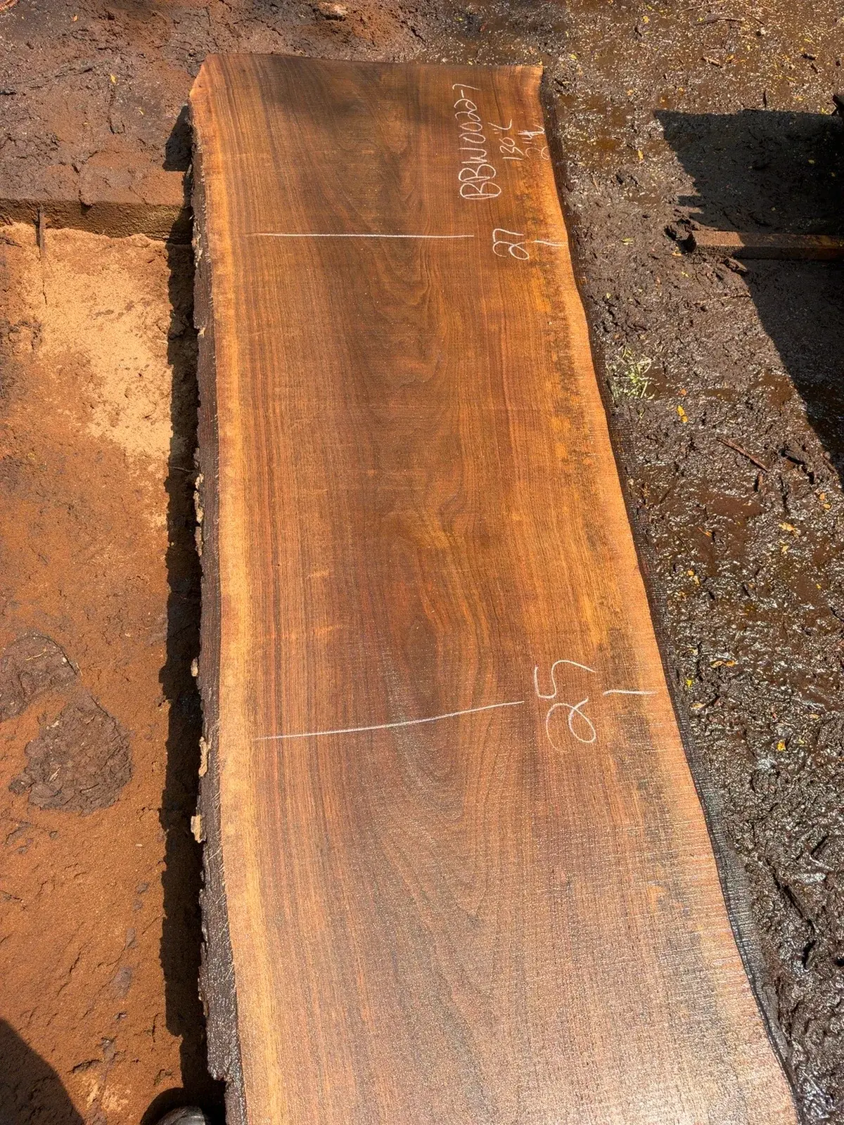 Black Walnut timber slab named Linear-Grain Walnut Slab Y06